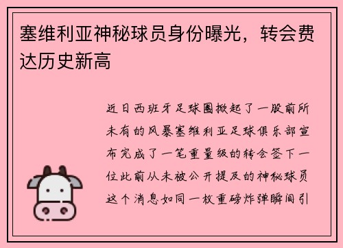 塞维利亚神秘球员身份曝光，转会费达历史新高