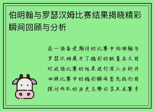 伯明翰与罗瑟汉姆比赛结果揭晓精彩瞬间回顾与分析