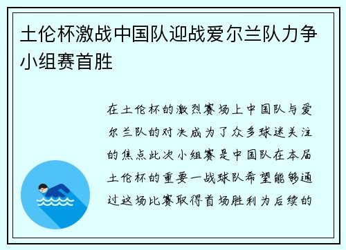土伦杯激战中国队迎战爱尔兰队力争小组赛首胜
