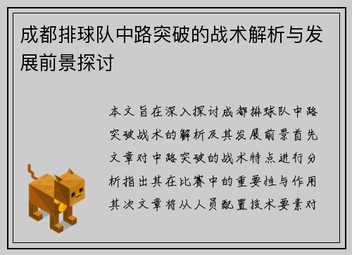 成都排球队中路突破的战术解析与发展前景探讨