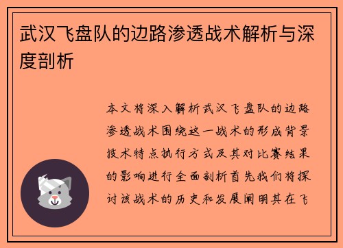 武汉飞盘队的边路渗透战术解析与深度剖析